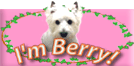 I'm Berry!